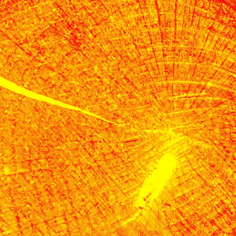 鋸切面 Cross Cut Zine