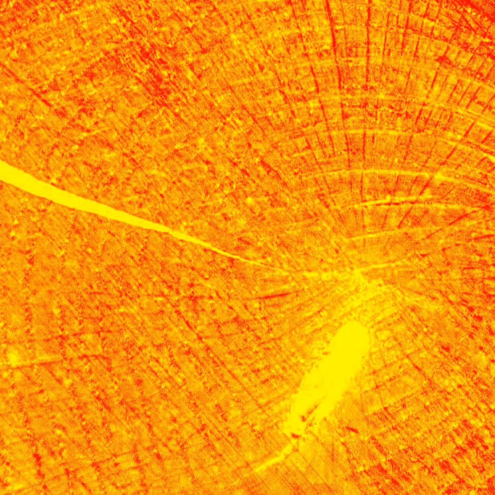 鋸切面 Cross Cut Zine